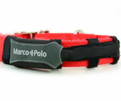 The ballistic nylon tag holder attaches to your pet's collar with durable velcro straps and fits collars from 7" length and 3/8" up to 2" width. (Pet collars are not included with the holder).