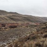 Eastern Oregon terrain can make it tough to spot your wayward pet. Low vegetation and rolling hills with canyons are a challenge.